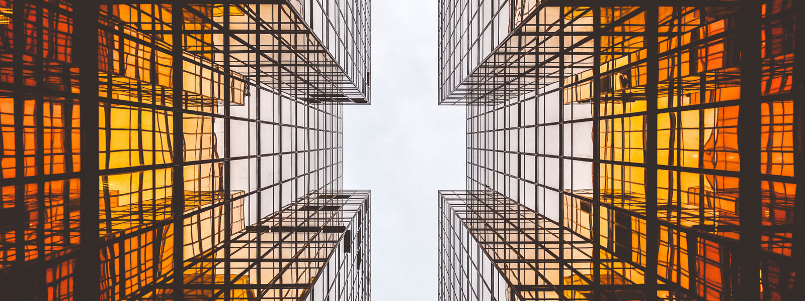 Bunker Trader – Job opening in the Netherlands M/F